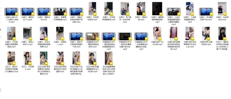 [自行打包]+[m男/女王/羞辱/指教]无锡灵芷、冷凝大大指教视频合集+[35V+17G][百度盘]