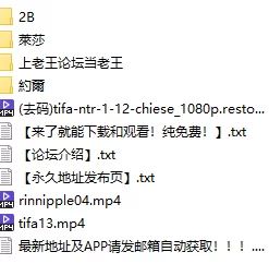 [自行打包]+Dance+Carnival++作品合集中英文+[34v+17g][百度盘]