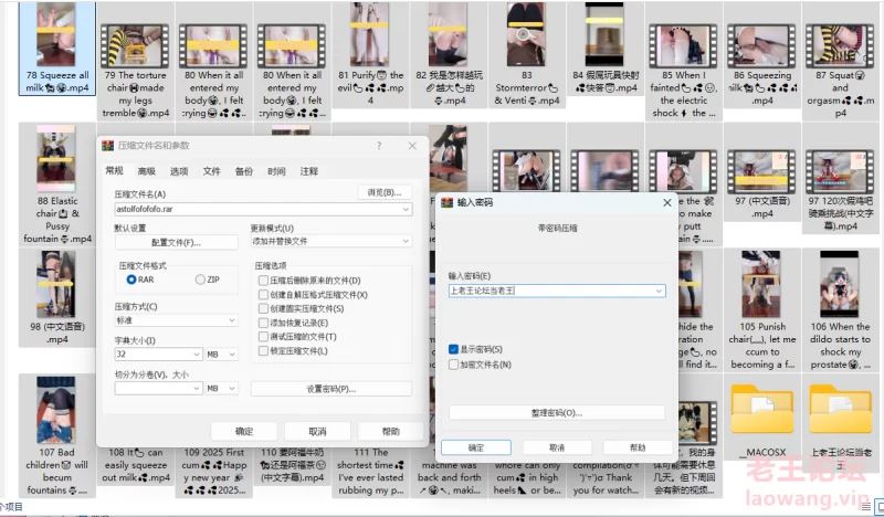 [自行打包]+阿福福福福@astolfofofofo合集，截止到25年2月+[130v+24.1G][百度盘]