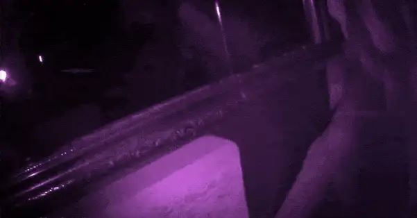 [转载搬运]+【乱来砂舞厅】大合集，搂抱互动自娱自乐抠动吃鸡站+[1+72.7G][百度盘]