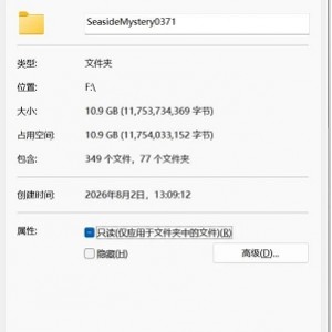 [自行打包] （自行打包）PC海边之谜SeasideMystery0371（开局黑屏BUG修...端 [1+10.9G][百度盘]