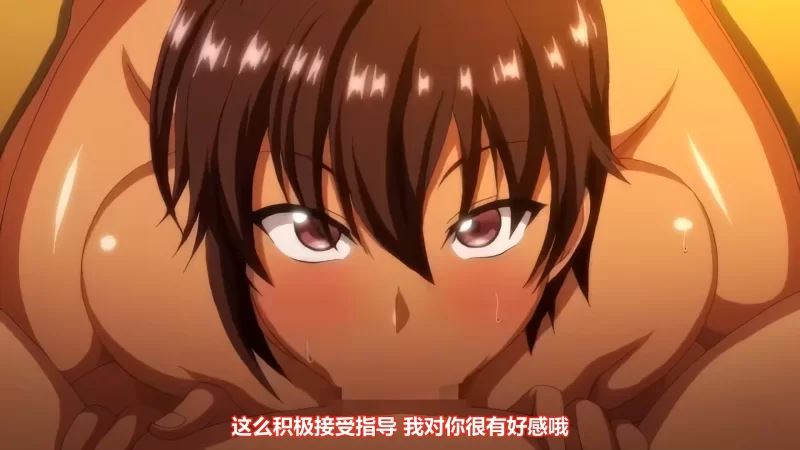 [转载搬运]+【260部精品里番大合集】偏经典纯爱风【收藏向】+[Nv+202g][百度盘]