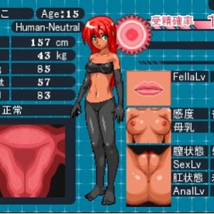 [自行打包] PC VHゲーム０１_230916 [1+977.88mb][百度盘]