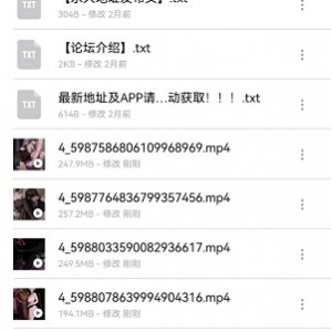 [自行打包] #Vlese合集 #中配剧情 #3D国漫 #vam [2+1.8g][百度盘]