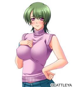 [自行打包]+[PC/年上/大罩杯/熟女/后宫/AI机翻]美熟母「いやらしい母さん...+[1个+1.8G][百度盘]