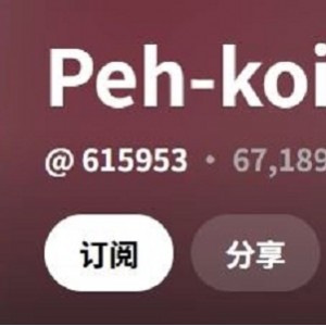 [自行打包] 【精品/同人/合集】Pehkoi 20232026同人动画合集（281个视频... [281v+50.4G][百度盘]