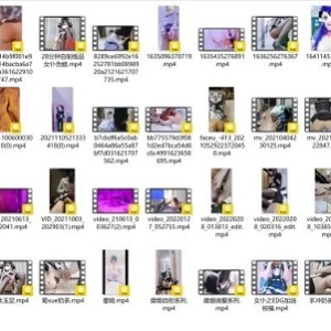 [自行打包] 推特伪娘 佩奇 自整理合集 [NPNV+32.45GB][百度盘]