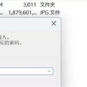 [自行打包] 【PC/汉化】 地下城与新娘 Ver1.35 内嵌精翻汉化版 [1P+2.50G][百度盘]