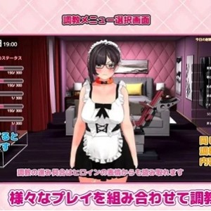 [自行打包] [SLG汉化PC]报复 復讐   progressive v1.0.4 [1+400M][百度盘]