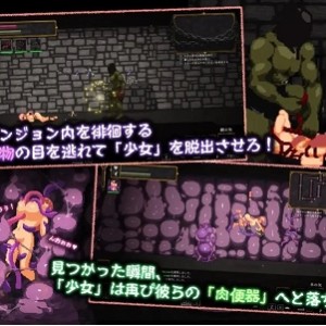 [自行打包] 【ACT/官中/PC】nurtale nesche ナーテイルネーシェ v1.0.6.2 [1+320M][百度盘]