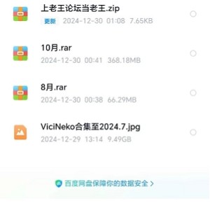 [自行打包] 个人收集Vicineko合集至2024.10月已补 [1+10g][百度盘]