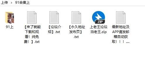 [自行打包]+自收集+91+精华视频合集（上）+[50V+3.89G][百度盘]